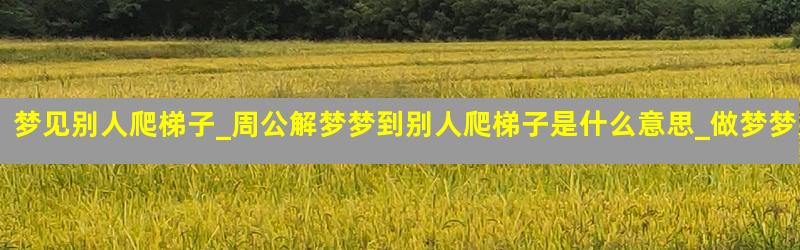 梦见别人爬梯子_周公解梦梦到别人爬梯子是什么意思_做梦梦见别人爬梯子好不好