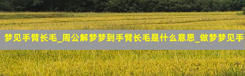 梦见手臂长毛_周公解梦梦到手臂长毛是什么意思_做梦梦见手臂长毛好不好