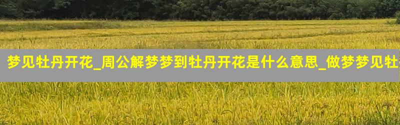 梦见牡丹开花_周公解梦梦到牡丹开花是什么意思_做梦梦见牡丹开花好不好
