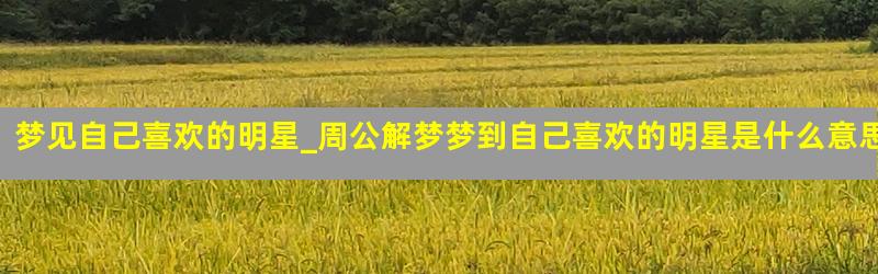 梦见自己喜欢的明星_周公解梦梦到自己喜欢的明星是什么意思_做梦梦见自己喜欢的明星好不好