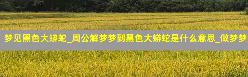 梦见黑色大蟒蛇_周公解梦梦到黑色大蟒蛇是什么意思_做梦梦见黑色大蟒蛇好不好