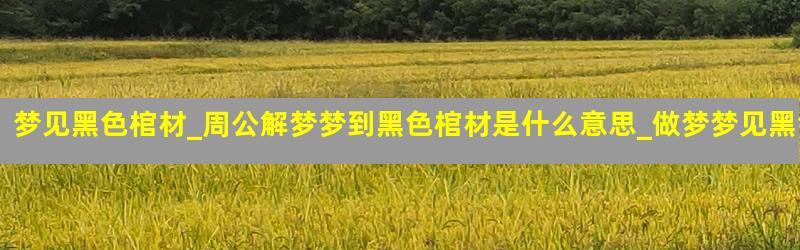 梦见黑色棺材_周公解梦梦到黑色棺材是什么意思_做梦梦见黑色棺材好不好