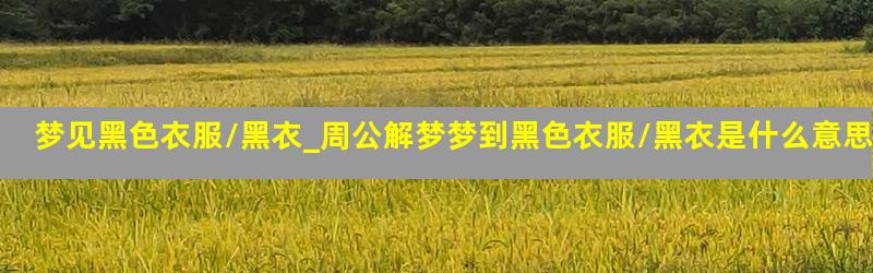 梦见黑色衣服/黑衣_周公解梦梦到黑色衣服/黑衣是什么意思_做梦梦见黑色衣服/黑衣好不好