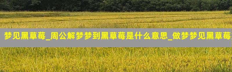 梦见黑草莓_周公解梦梦到黑草莓是什么意思_做梦梦见黑草莓好不好