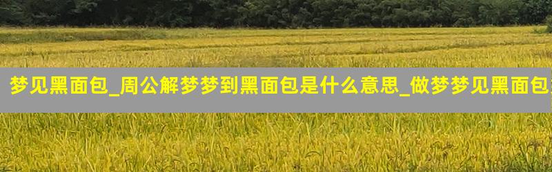 梦见黑面包_周公解梦梦到黑面包是什么意思_做梦梦见黑面包好不好