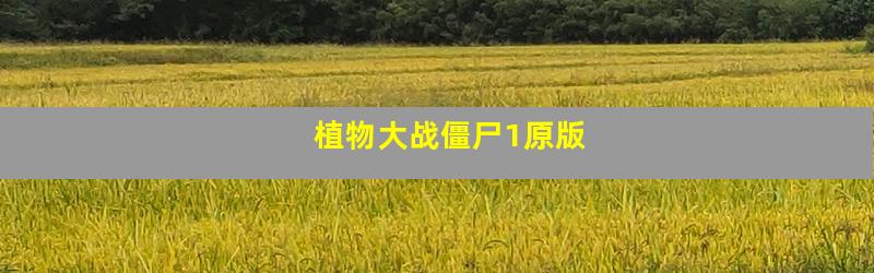 植物大战僵尸1原版
