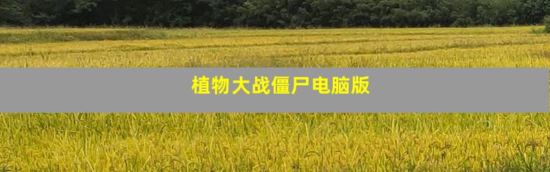 植物大战僵尸电脑版