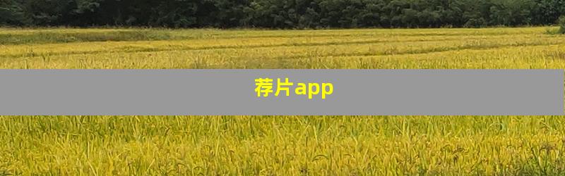 荐片app