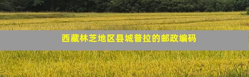 西藏林芝地区县城普拉的邮政编码