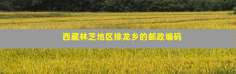 西藏林芝地区排龙乡的邮政编码