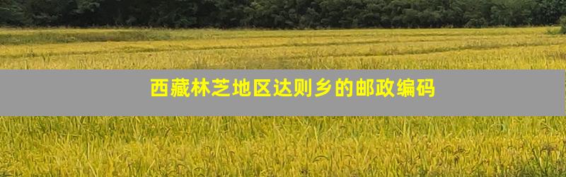 西藏林芝地区达则乡的邮政编码