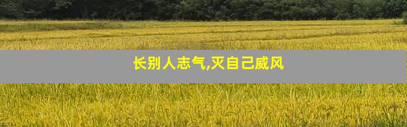长别人志气,灭自己威风