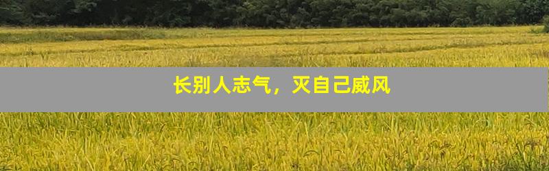 长别人志气，灭自己威风