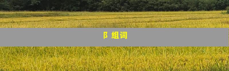 阝组词