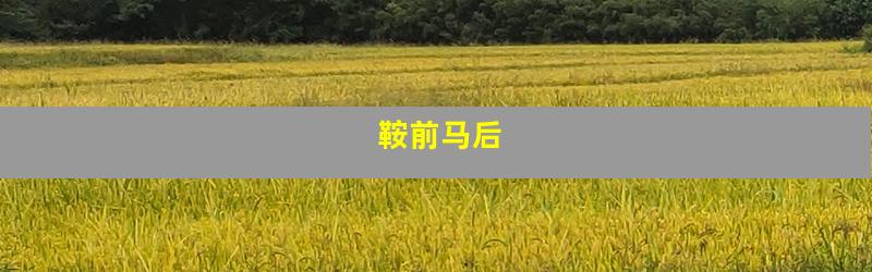 鞍前马后