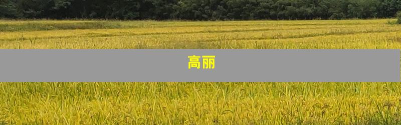 高丽