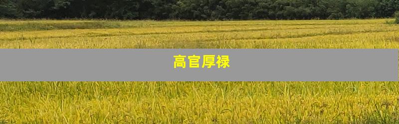 高官厚禄