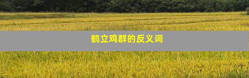 鹤立鸡群的反义词
